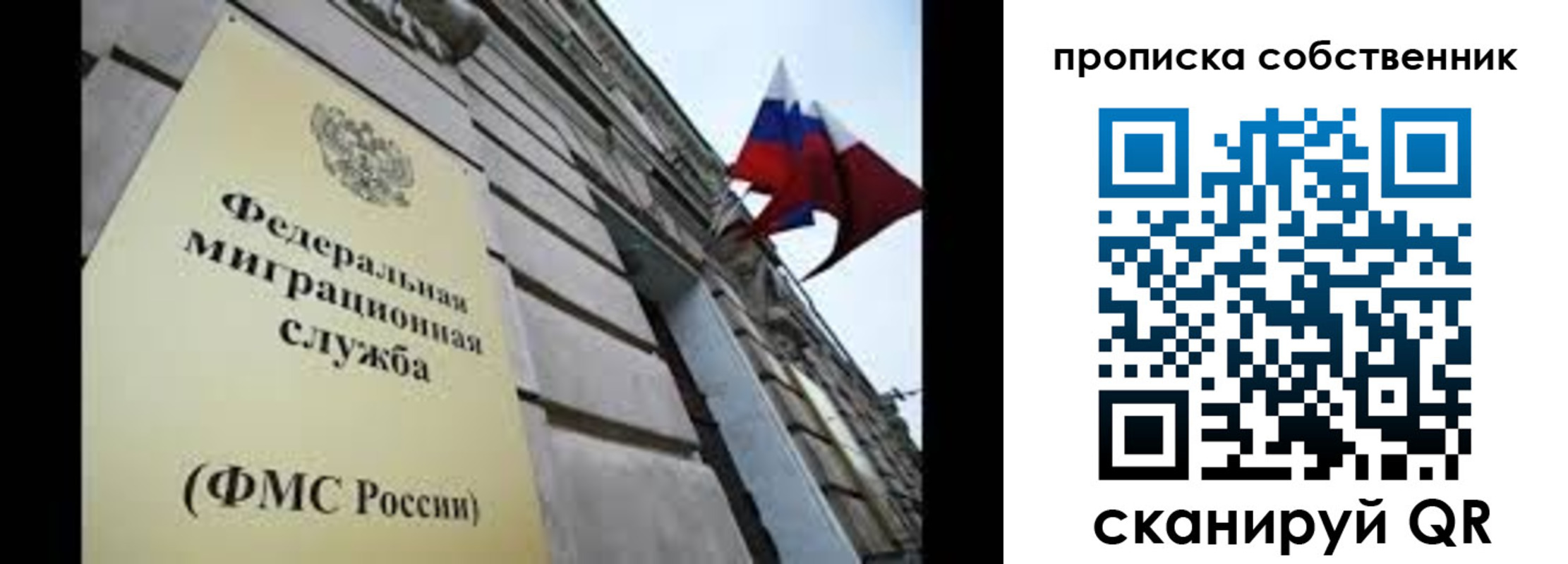прописка гарантия в Ногинске
